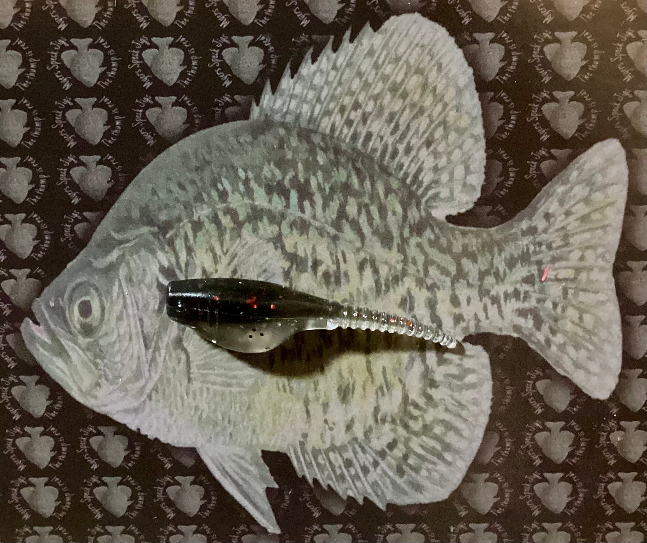 15 Pk 2in Rubber Crappie Bait Midnight Flash