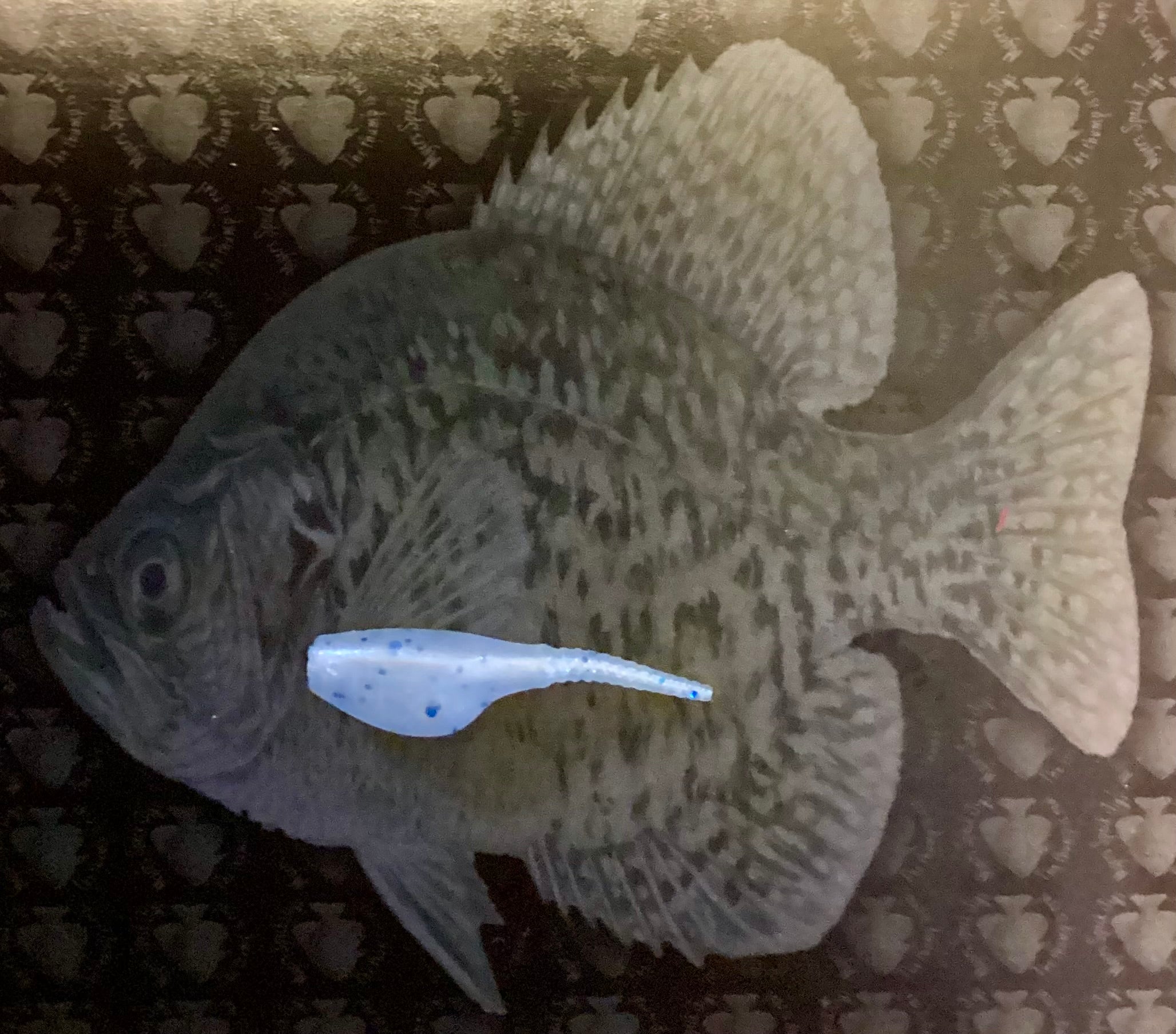 15 Pk 2in Rubber Crappie Bait Ice Blue Sparkle